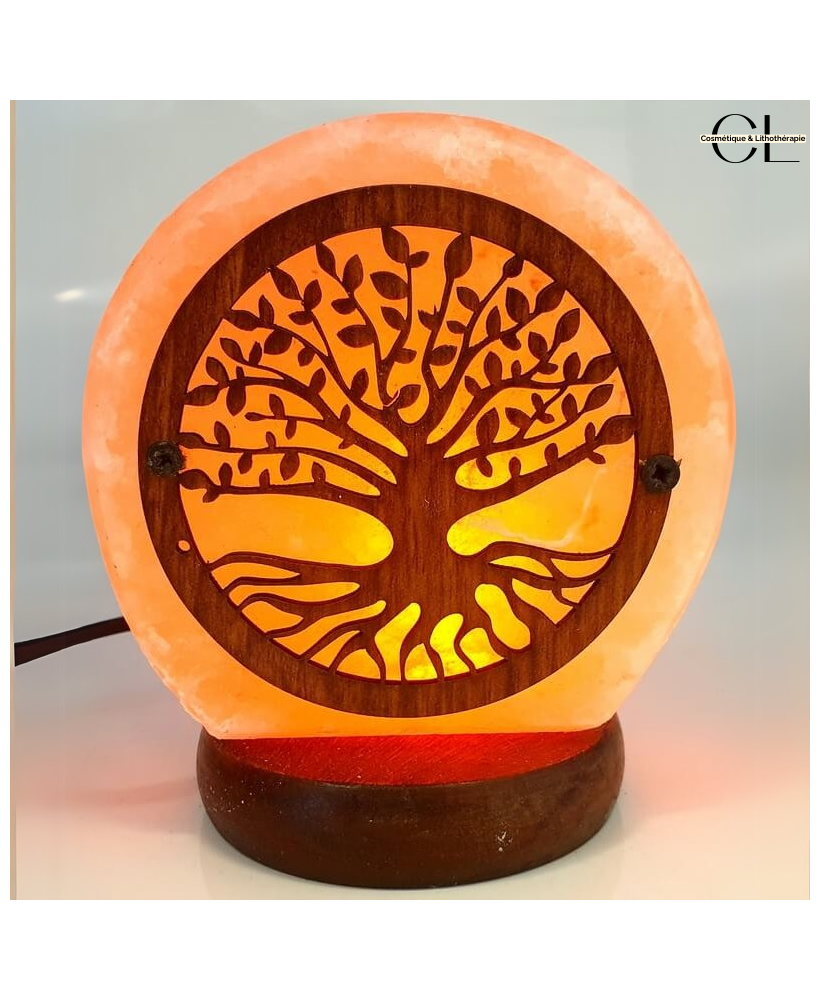 Lampe de Sel USB Arbre de Vie 1KG