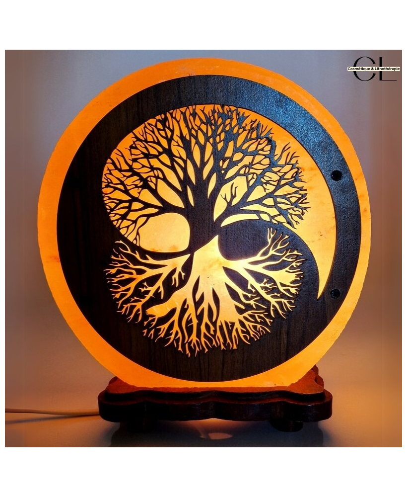 Lampe de sel d'Himalaya Arbre de Vie Yin-Yang 5KG