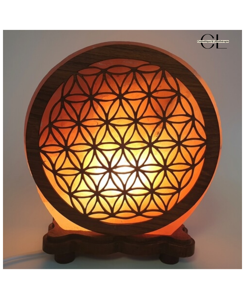 Lampe de sel d'Himalaya Fleur de vie 5KG