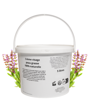 Crème visage peau grasse - gros contenant 5 LITRES