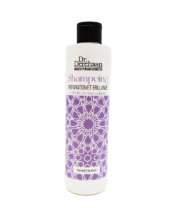 Shampoing réparation et brillance 250ml