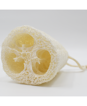 Luffa